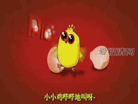小鸡哔哔洗脑神曲视频 小鸡哔哔歌词原版中文