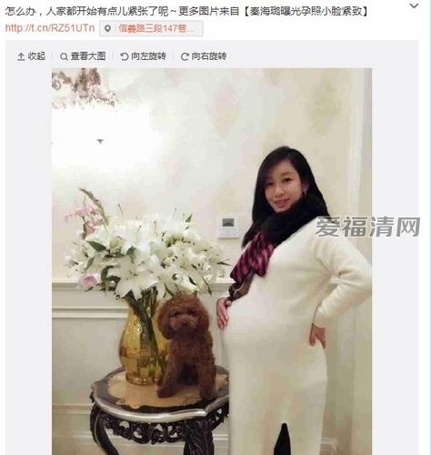 <em>秦海璐怀孕</em>9月挺巨肚照 其老公王新军相关资料