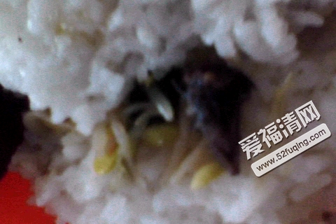 食堂饭菜惊现老鼠图片_WWW.66152.COM