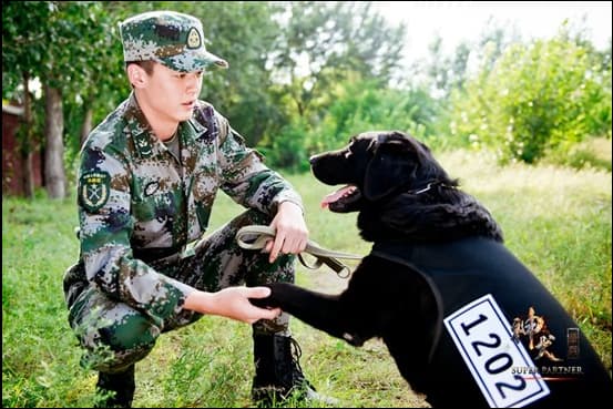 神犬奇兵经典台词汇总