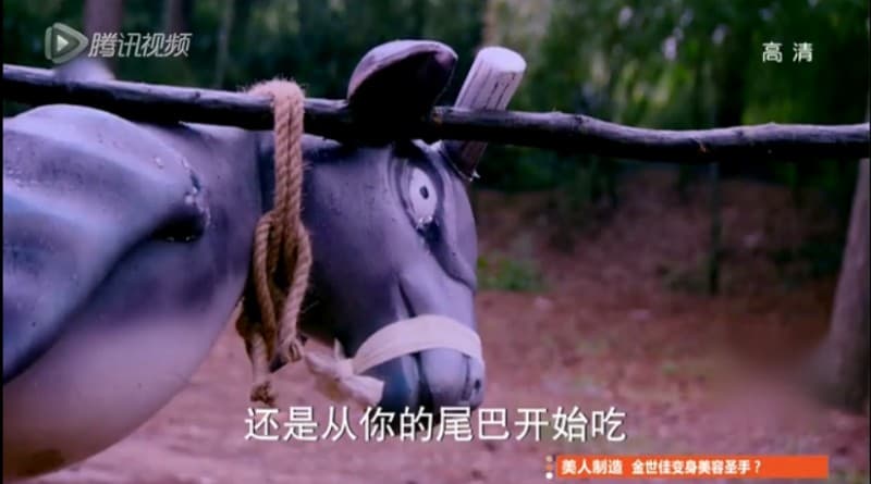 古剑奇谭夔牛妖延枚和向天笑是怎么认识的 
