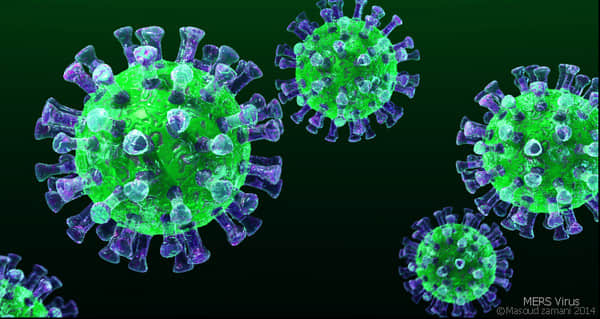 MERS，中東呼吸道症候群病毒3D畫面。（圖／Scinceside CC3.0）