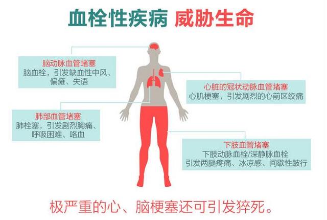 豆豉为什么能预防血栓？因为含有这种物质