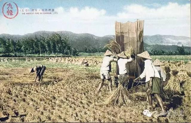 大陆少见的珍贵老照片：日倨时代的台湾