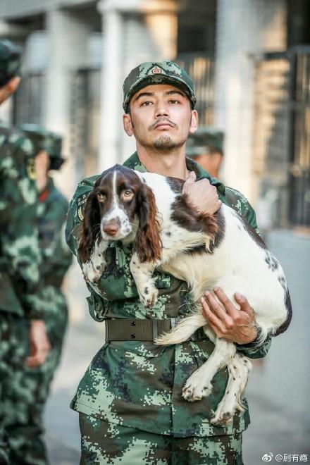 张馨予被狗追得一身伤却早餐都省给它？救命之恩回报一个鸡蛋算啥