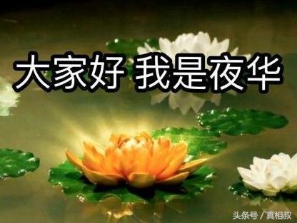 《三生三世》墨渊醒来被胞弟夜华截胡挚爱，手心手背都是肉