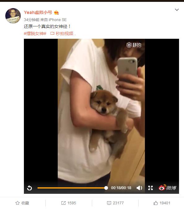 女神经郑爽深夜抱着小猫跳舞自拍，让广大网友觉得可爱而又怜悯