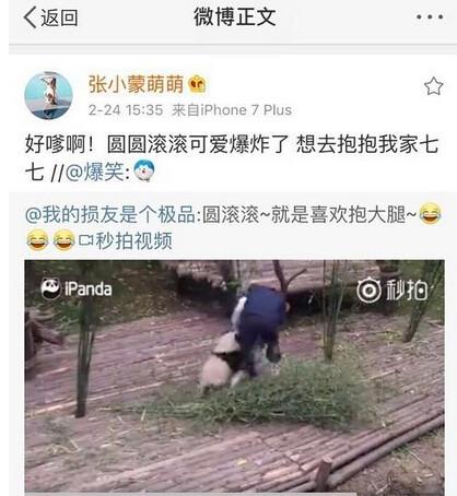 王思聪的豪 认养大熊猫萌七 又换女友张小蒙 豆得儿已哭晕