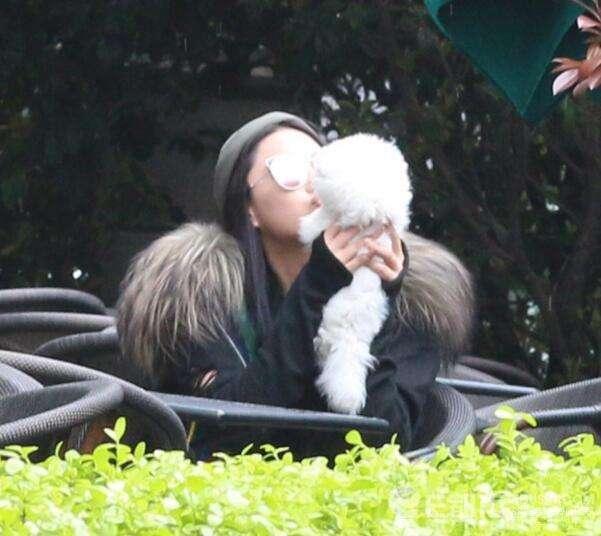 人不如狗系列！明星与爱犬尺度大，与狗狗亲吻惹争议