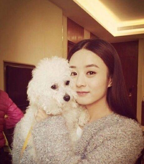 人不如狗系列！明星与爱犬尺度大，与狗狗亲吻惹争议