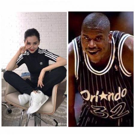 NBA传奇球星奥尼尔单恋Angelababy失败 移情宋茜直接求婚