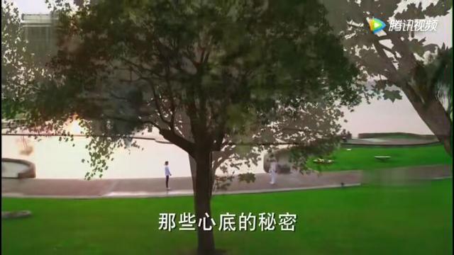 《夏至未至》大结局，郑爽替身“妍妍”出现，与小爽相似度达到99.99%