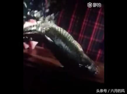 杨洋刘亦菲电影版的《三生三世十里桃花》上映了，微博上《三生三世十里拉面》什么梗