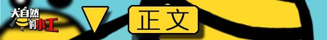 沈星移救周莹身受重伤，赵白石挟持杜明礼与贝勒爷谈条件