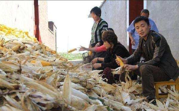 明天回老家干活，网友说：只有三个真正会干活，她却在摆拍作秀！