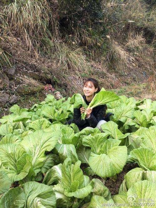 明天回老家干活，网友说：只有三个真正会干活，她却在摆拍作秀！