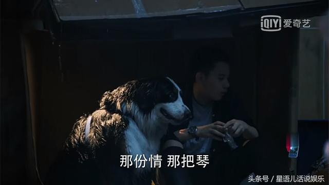 《老男孩》萧晗忍痛送走奥斯卡，流落街头初体验