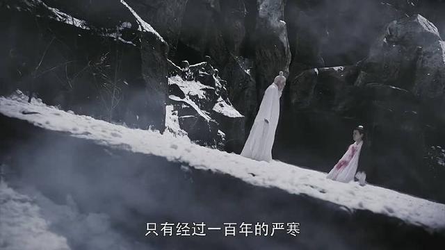 《烈火如歌》艳娘透露银雪惊天秘密，牵扯出如歌和他的前世情缘！