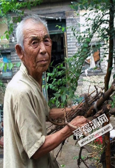 刘盛兰老人生前生活照