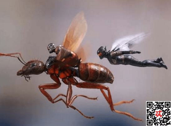 蚁人2黄蜂战衣和蚁人战衣有什么区别飞行能力最为不同 电影 忒有料