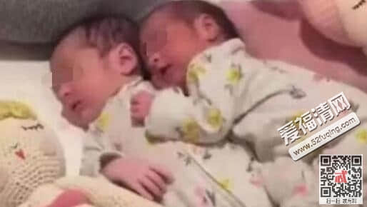 谢娜两公主宝宝首次露面 张杰谢娜双胞胎女儿照片曝光