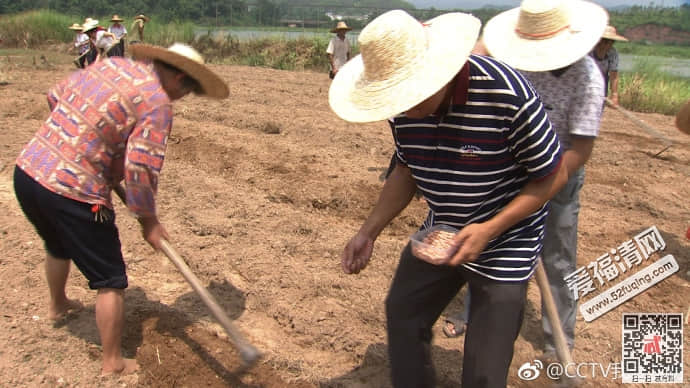 我爱发明201804114全自动花生播种机/穴盘苗自动移栽机/新型施肥装置